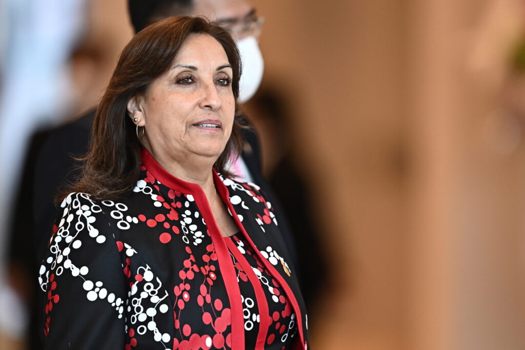 LOS REFORMISTAS SALVAN A DINA