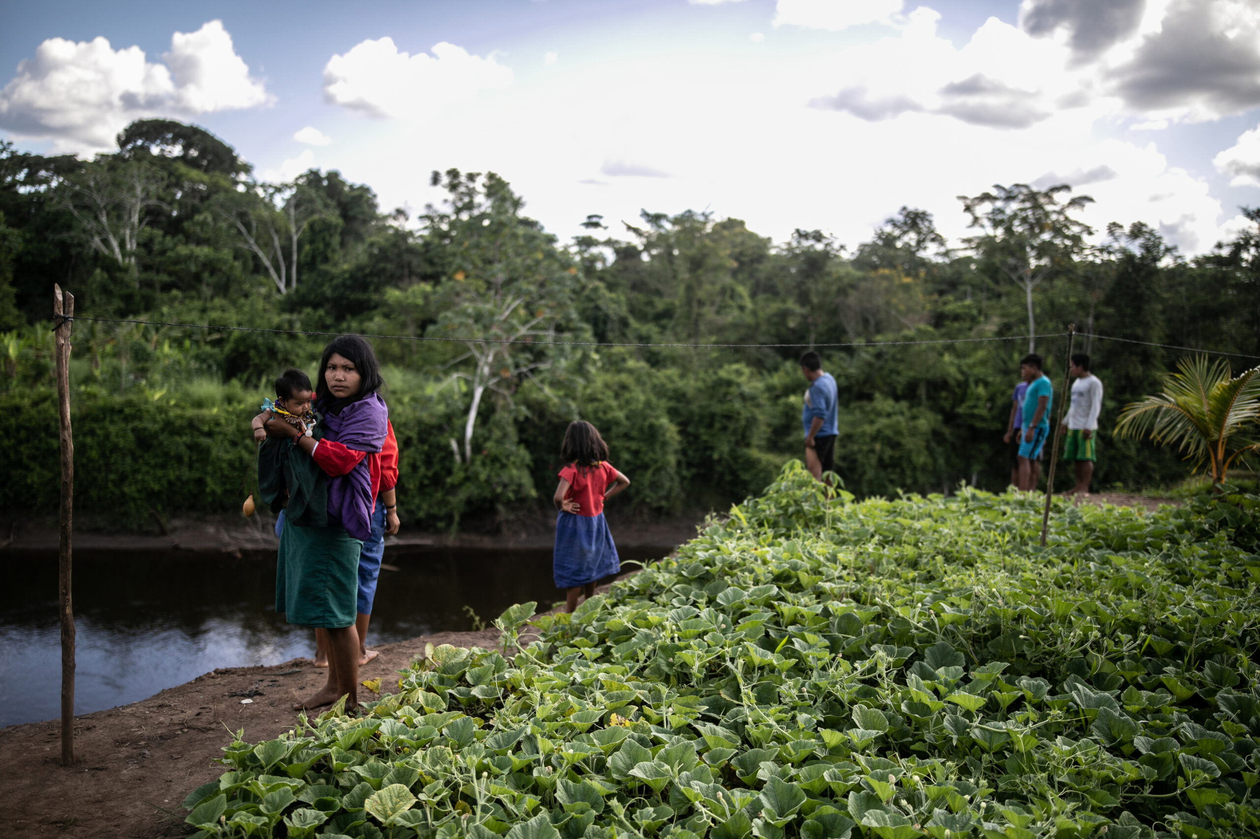 ¡ABAJO LA LEY ANTIFORESTAL!