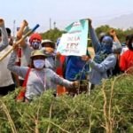 ¡Los obreros debemos luchar por el verdadero socialismo!